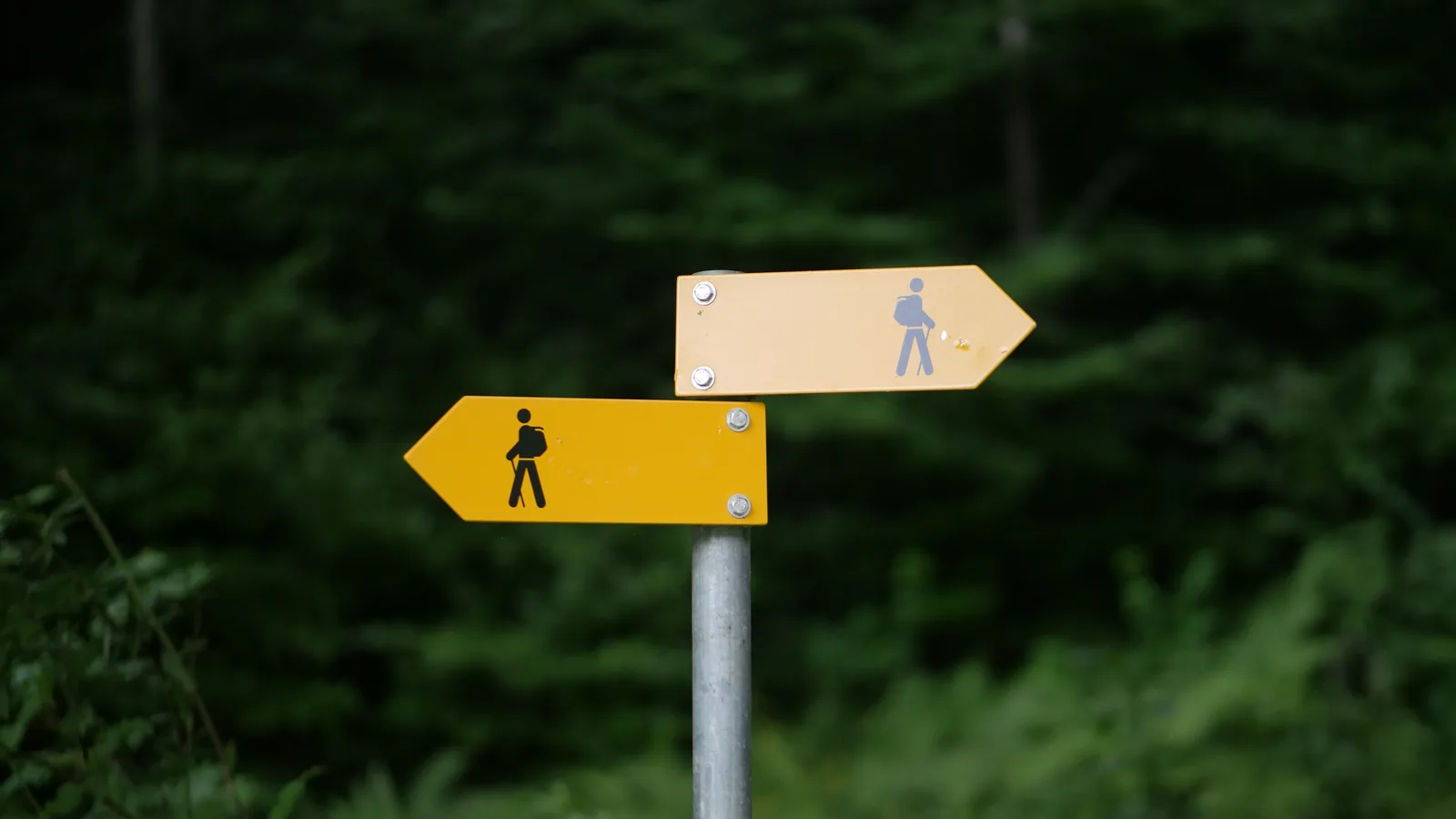 Zwei Wegweiser zeigen unterschiedliche Richtungen