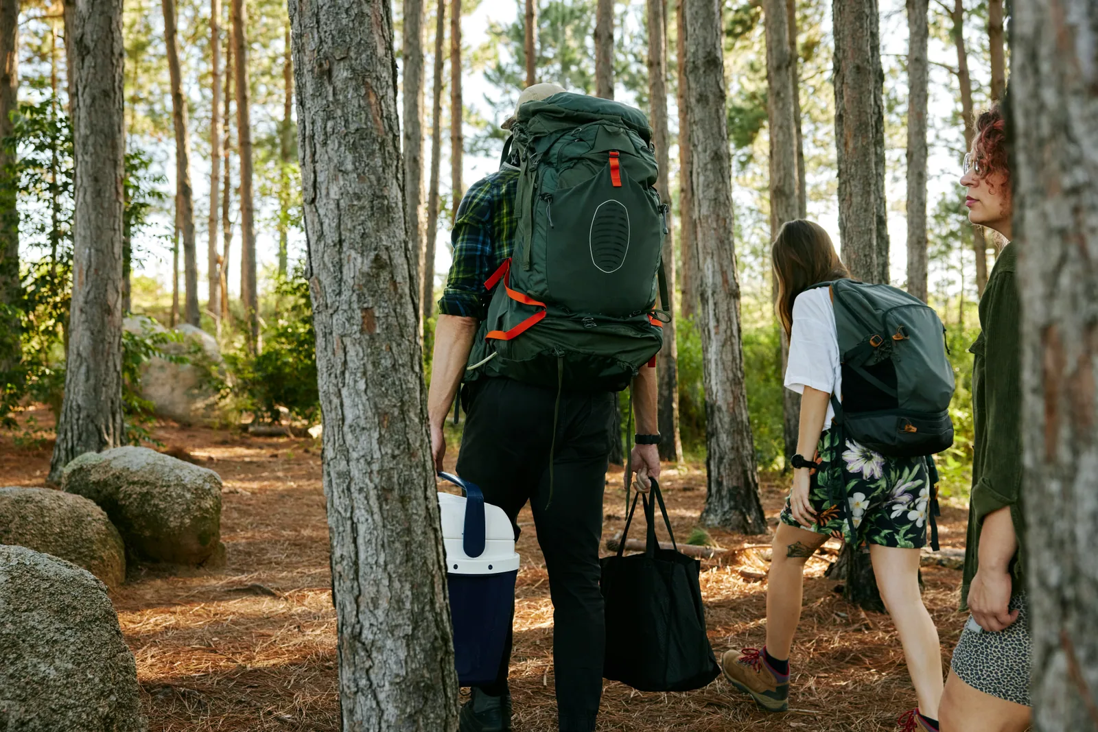 Wandernde folgen gemeinsam einer Route durch den Wald
