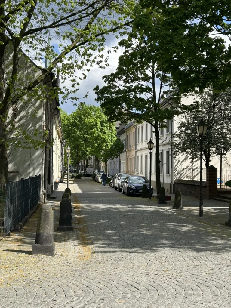 Europäische Altstadtgasse mit Kopfsteinpflaster und Bäumen