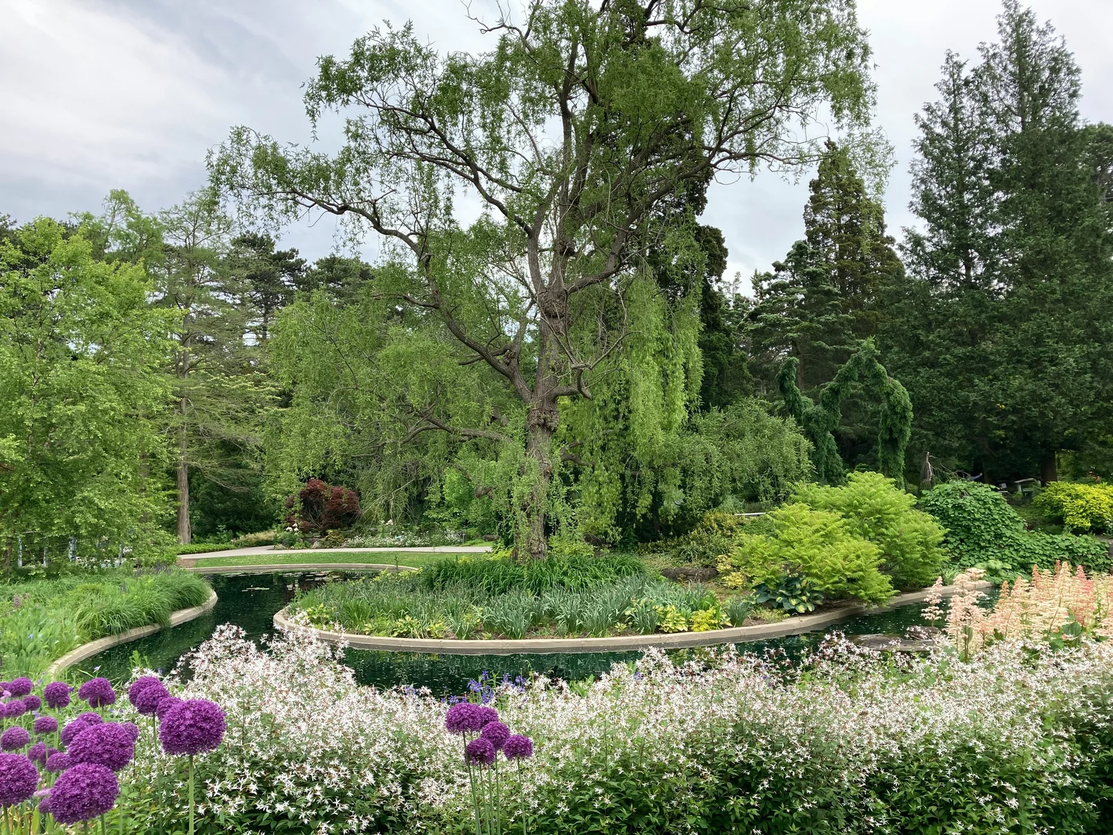 Botanischer Garten mit Wasserlauf, Blüten und altem Baum